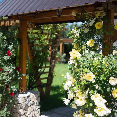 Villa Medina-2